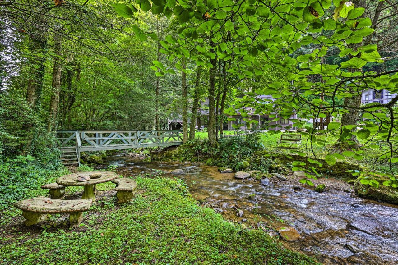Roan Mountain Creekside Cabin Hike And Fish! Luaran gambar