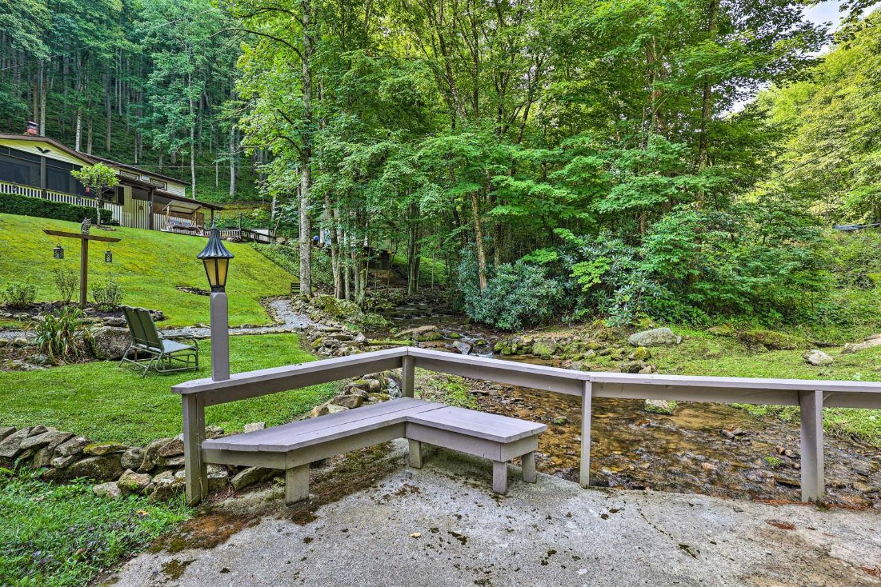 Roan Mountain Creekside Cabin Hike And Fish! Luaran gambar
