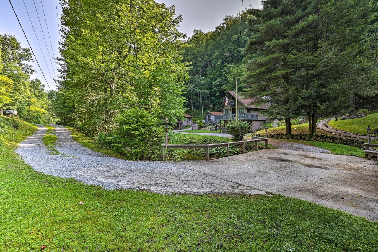 Roan Mountain Creekside Cabin Hike And Fish! Luaran gambar