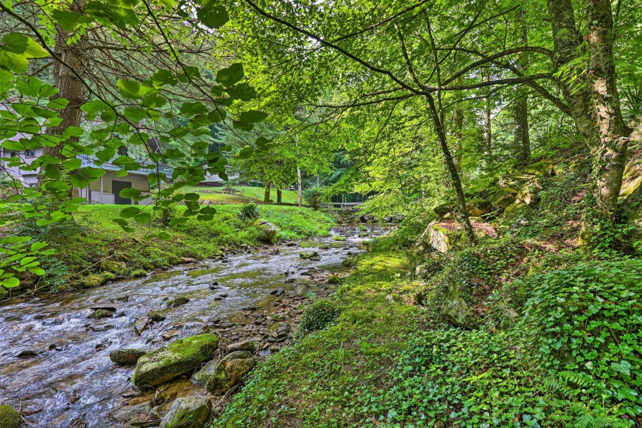 Roan Mountain Creekside Cabin Hike And Fish! Luaran gambar