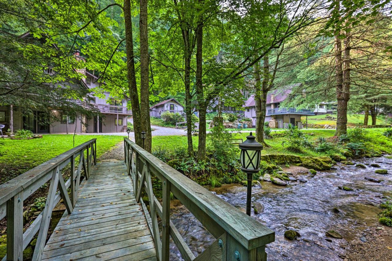 Roan Mountain Creekside Cabin Hike And Fish! Luaran gambar